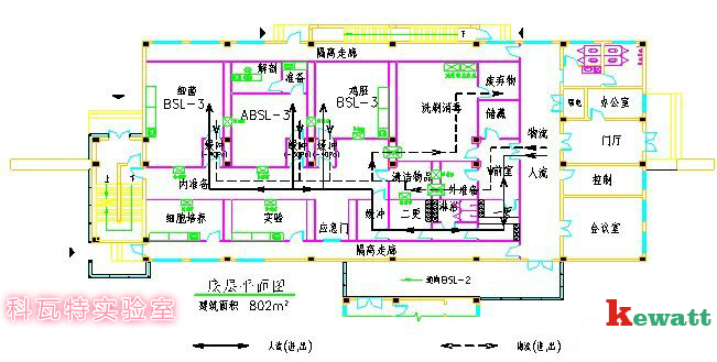 P3生物安全实验室设计图