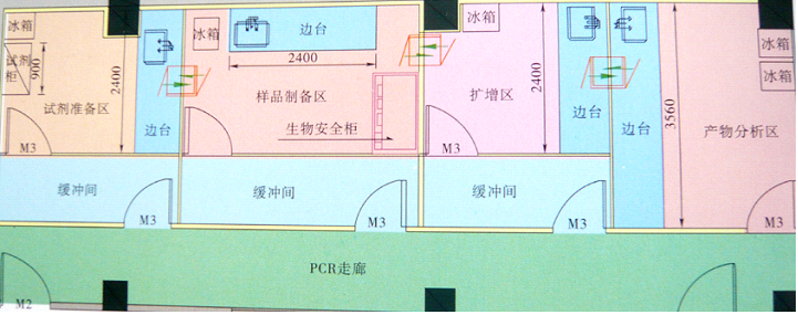  PCR基因扩增实验室平面图