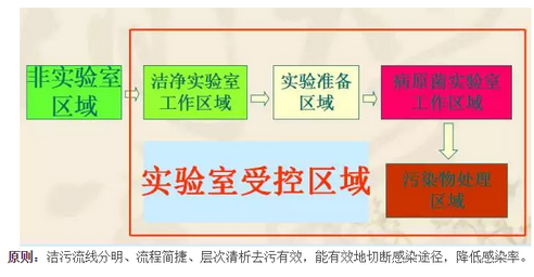 无菌实验室净化通道图