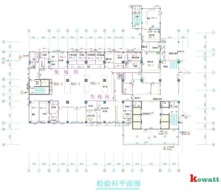 医院免疫实验室设计图