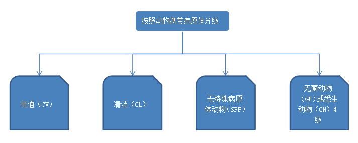 按动物携带病原体分级