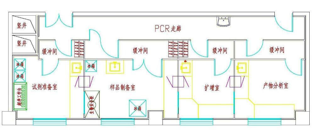 pcr实验室设计