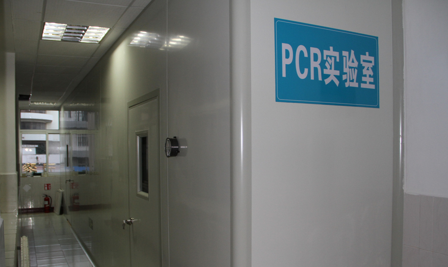 pcr实验室